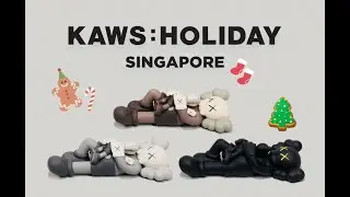 KAWS: Holiday Singapore (Brown Figure) Unboxing