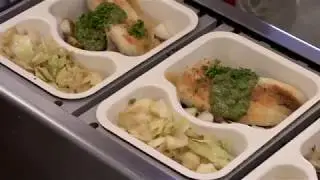 Meals for Care Transitions