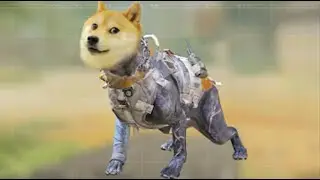 New K9 Unit glitch codm (features) #shorts #codm #callofdutymobile