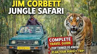 Jim Corbett Jungle Safari | Jim Corbett National Park | Complete Guide |