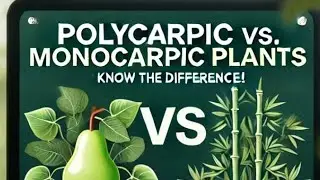 Polycarpic vs. Monocarpic plants  (Know the difference )  with example @ science world 98 # Botany