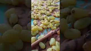 Homemade Dry Grapes with ‼️ simple steps #short