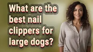 What are the best nail clippers for large dogs?