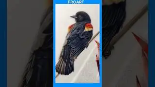 Bird drawing video step by step, how to make drawing for beginners #shortvideo #drawing #shorts #art