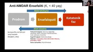 Otoimmün ensefalitlerde tanı kriterleri ve radyolojik –elektroensefalografik örnekler