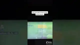 Slime block facts