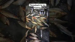 Banks Lake, ice fishing (white fish) #fishing #lake #washington #fish
