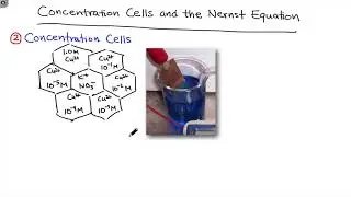 Concentration Cells | Intro & Theory