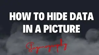 How to Hide Data into a Picture Using Steganography