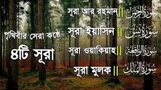 পৃথিবীর সেরা কন্ঠে ৪টি সূরাহ তিলাওয়াত | Ar Rahman, Surah Yeasin, Surah Wayaqiah, Surah Mulk |