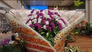 Changi Airport Singapore #travelmyjourney #singapoor #changiairport #travelvlog 
