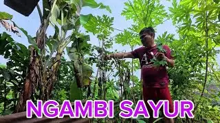Poo... Udah Bertugas Kumang Jawai Neh😘 Kasih Amai Ibuk To Nemu Bejako Kediri, 😭