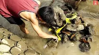 PASANG WUWU PERANGKAP IKAN DI SUNGAI IRIGASI SAWAH
