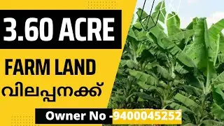 Land For Sale In Ernakulam | 60000/- | By Owner
