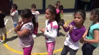 PROYECTO DE EDUCACIÓN FÍSICA 