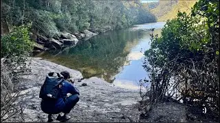 A Sunny Day in the Ku-ring-gai Chase National Park :)