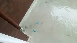 Шторм