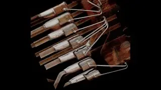 Quadra &mu;CT Imaging