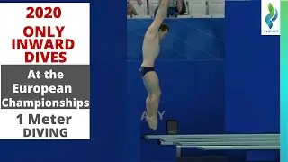 2020 Mens 1 Meter Diving - Inward Dives - European Diving Championships