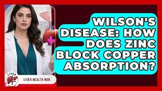 Wilson's Disease: How Does Zinc Block Copper Absorption? - Liver Health Hub