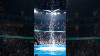 Delfini olimpici: triplo avvitamento sincronizzato, pubblico estasiato.