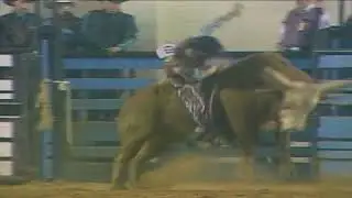 David Lance - 96 Bullbusters (81 pts)