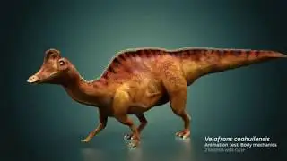 Velafrons WalkCycle