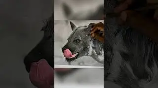 #wildanimal #art #artreveal #hyena #drawing #shorts #trendingshorts #shortvideo #artchallenge #viral