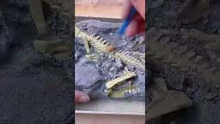 Dinosaur Fossil Digging Kit