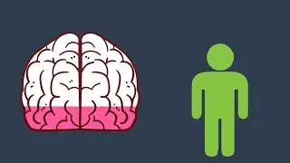 Brain 2d animation