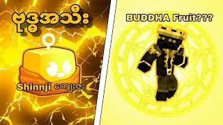 Buddha Fruit ရခဲ့တယ်! | I got Buddha fruit!