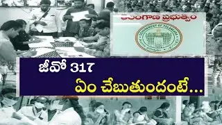 GO 317 GUIDELINES || జీవో 317 మార్గదర్శకాలు ఏం చెబుతున్నాయి? | EMPLOYEES TRANSFER | NEW ZONAL SYSTEM