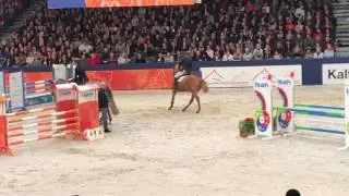 Hampshire VDL (Arezzo VDL x Indoctro)