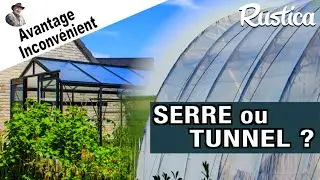 Serre ou tunnel ? Comment faire le bon choix