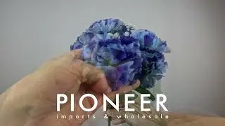 Value Carnation Bush &ndash; 13&Prime;, 7‑Stem Blue | Affordable Wholesale Floral Accent