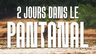 2 JOURS DANS LE PANTANAL
