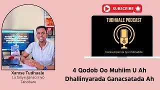 Dhallinyarada iyo Ganacsiga: 4 Qodob Oo Muhiim Ah