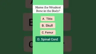 Name the Weakest Bone in the Body? #shorts #wikishorts #human #science #sciencefacts #anatomy
