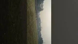 #pcsvlog #cricket #pcsvlog4603🏏🏏🏏🏏