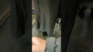 TfL route 38 bus driver fails to follow the Big Red Book procedure