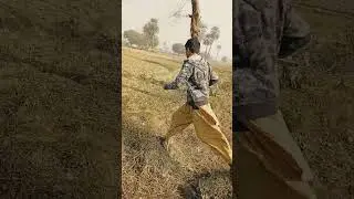 hunting#shikra#baaz#falcon#shikar#karnay#ka#tarrikka#plese_subscribe_my_channel #please#suport#acou