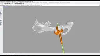 Ortopedia Veterin&aacute;ria - Impress&atilde;o 3D de guia para pr&oacute;tese total de quadril em c&atilde;o.