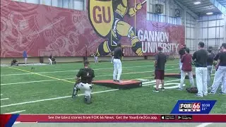College Baseball: Gannon NCAA