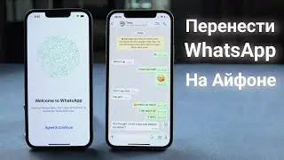 Как перенести WhatsApp с iPhone на iPhone 14?