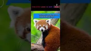 Logo in MOZILLA FIREFOX browser?