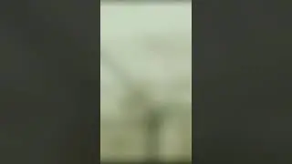 |Ви Хаджун|🥰 [Акула:Начало]