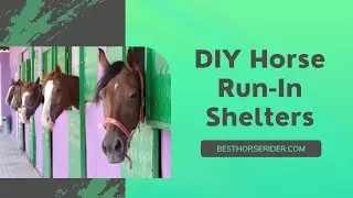 DIY Horse Run-In Shelters