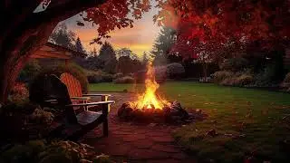 Relaxing Jazz for Study 📚 Calm Lofi Piano & Coffee Shop Rain Ambience All Night Long