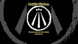 ❇️The Shade❇️ #wisdom #druid