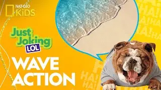 Wave Action | Just Joking&mdash;LOL
